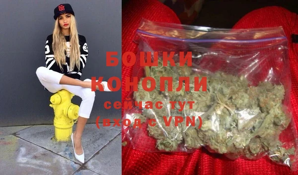 сатива Карталы