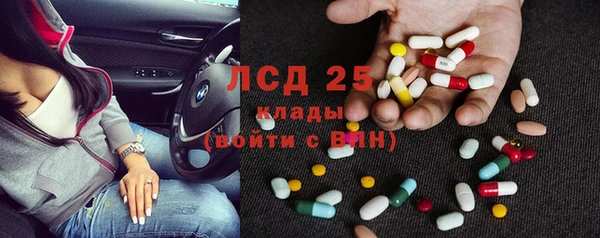 мяу мяу мука Касимов