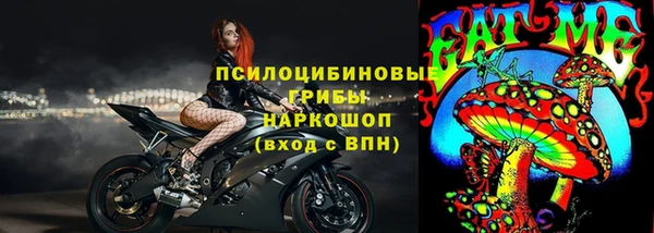 молекула духа Чекалин